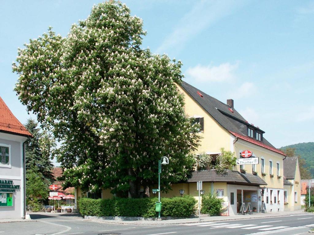 ホテルGasthof Thaller Lebring エクステリア 写真
